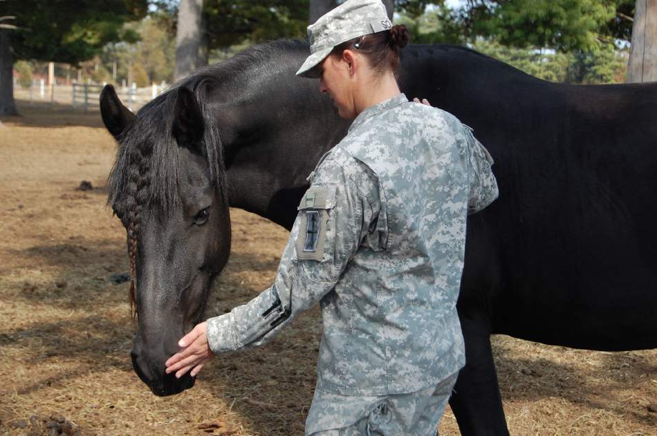 Equine Therapy for Addicted Veterans Tennessee