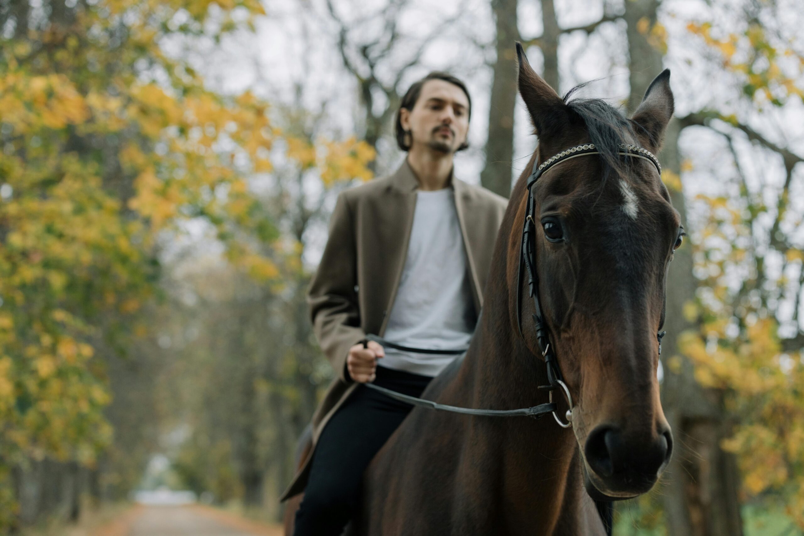 How Equine-Assisted Therapy Enhances Dual Diagnosis Treatment Results