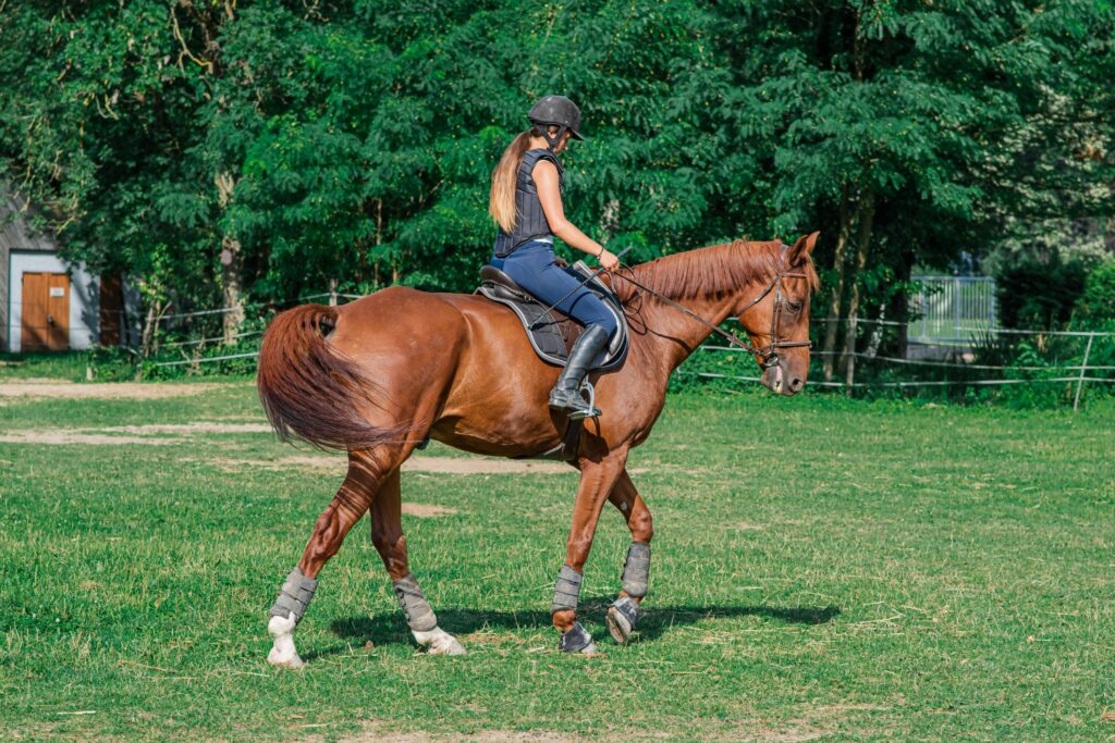 best Equine Assisted Therapy tennessee