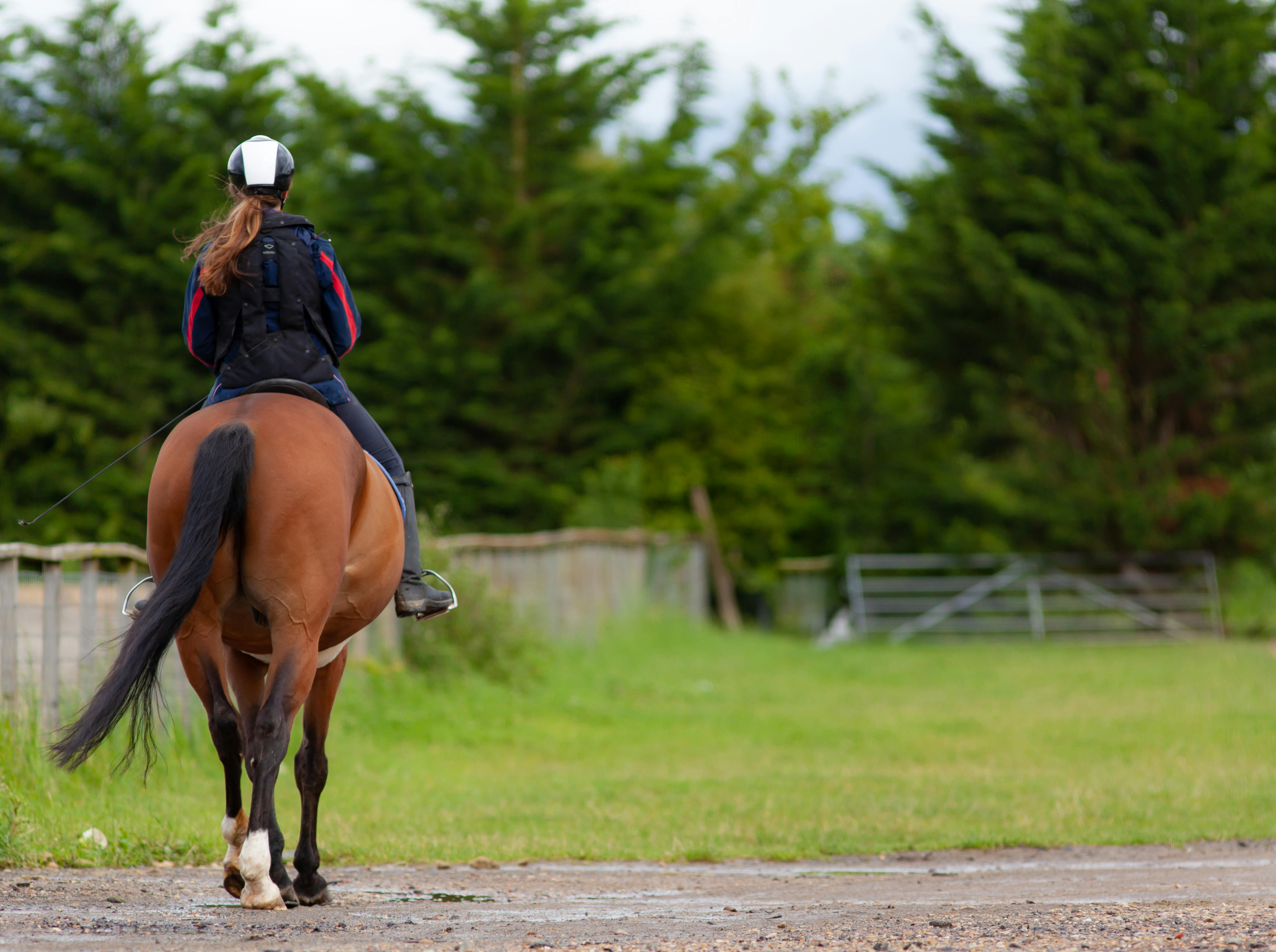 Equine Assisted Therapy tennessee