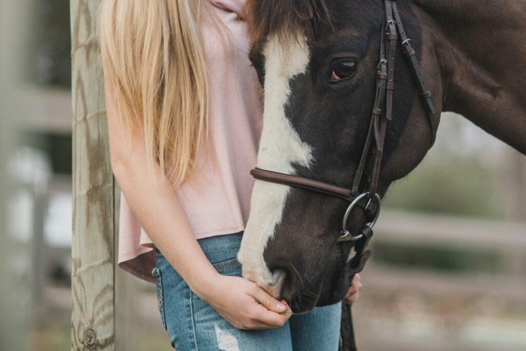 How Equine Therapy Supports Trauma Recovery and Addiction Treatment