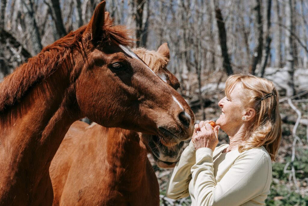 What Is Equine Therapy and How Does It Help in Addiction Recovery?